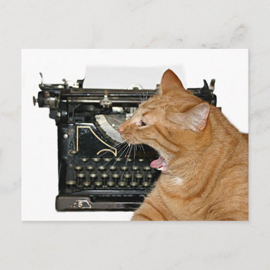 申し訳ないわ書 ポストカード (正面)