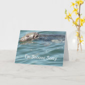 申し訳ないカード カード (黄色い花)