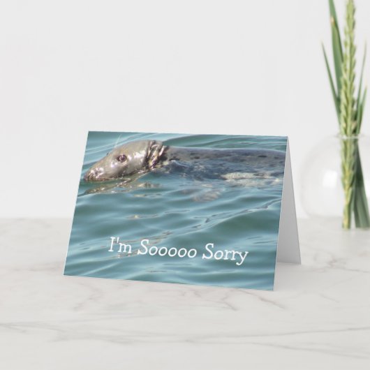 申し訳ないカード カード (正面)