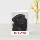 申し訳ないカード カード (黄色い花)