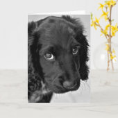 申し訳ないカード カード (黄色い花)