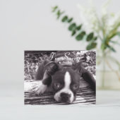 申し訳ないカード ポストカード (スタンド正面)