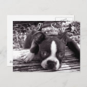 申し訳ないカード ポストカード (正面/裏面)