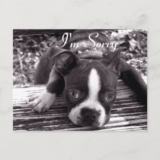 申し訳ないカード ポストカード
