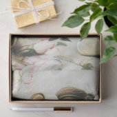 申し訳ないカード 薄葉紙 (ギフト)