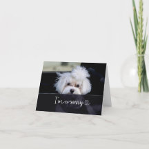 申し訳ないカー空白のド