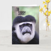 申し訳ないサル カード (黄色い花)