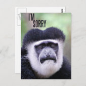 申し訳ないサル ポストカード (正面/裏面)