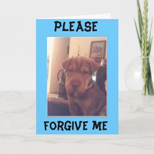 申し訳ない カード (正面)