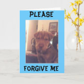 申し訳ない カード (黄色い花)