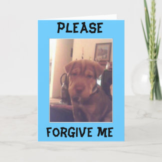 申し訳ない カード