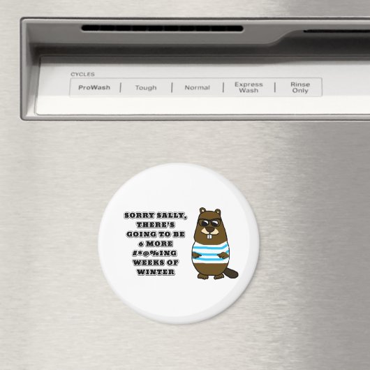 申し訳なくサリー、冬の他の6つ#*@%ing週 マグネット (インサイチュ (食洗機))