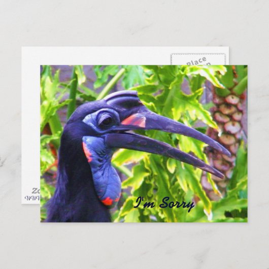 申し訳なく存じま恋しく思す ポストカード (正面/裏面)