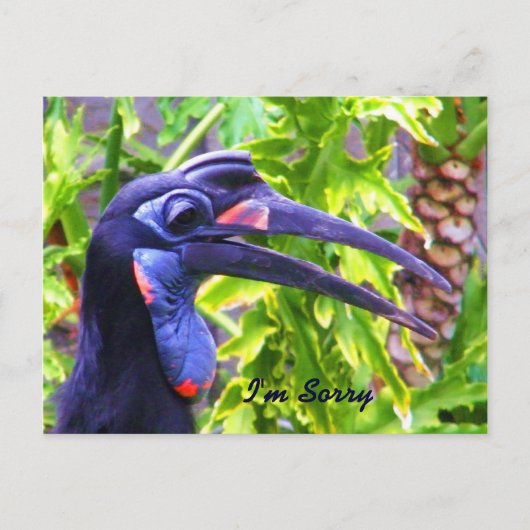 申し訳なく存じま恋しく思す ポストカード (正面)