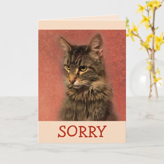 申し訳なく思う子猫 カード (黄色い花)