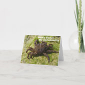 申し訳 カード (正面)