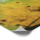 申命記30:19聖なる書物、 経典プリント ポスター (角)