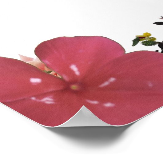 申命記31:8、恐れてはいけない、壁の装飾 ポスター (角)