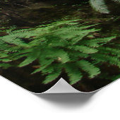 申命記4:29 ~主を求める ポスター (角)