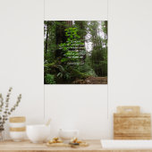 申命記4:29 ~主を求める ポスター (キッチン)