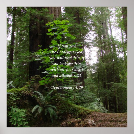 申命記4:29 ~主を求める ポスター (正面)