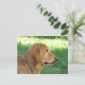 男かわいらしの子 ポストカード (スタンド正面)