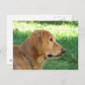 男かわいらしの子 ポストカード (正面/裏面)