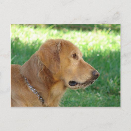 男かわいらしの子 ポストカード (正面)