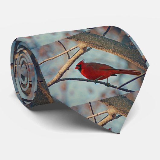 男かわいらしの子(鳥)ショウジョウコウカンチョウ ネクタイ (ロール)
