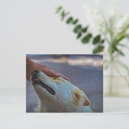 男と彼の犬はがき ポストカード (スタンド正面)