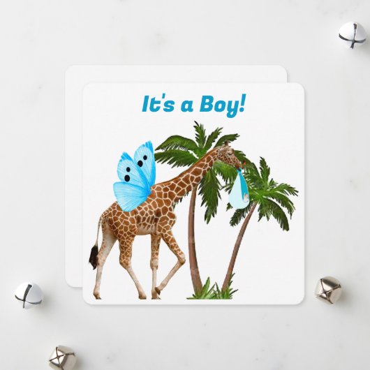 男の子だ シーズンカード (正面/裏面インサイチュ)