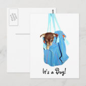 男の子だ！ ポストカード (正面/裏面)