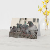 男の子とつるすこと カード (黄色い花)