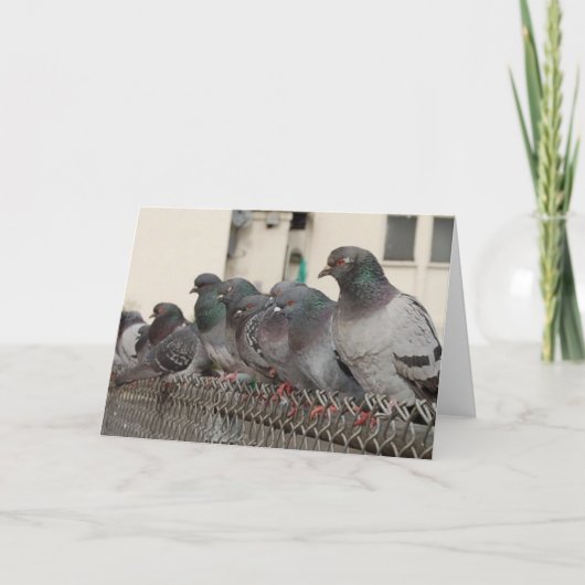 男の子とつるすこと カード (正面)