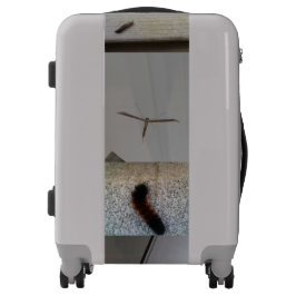 男の子のためのオーバーナイトスーツケース/大都市