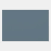 男の子のための冬の赤ちゃんシャワーギフトラップ ラッピングペーパーシート (正面2)