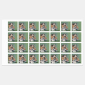 男の子のアイロンの服のラベル虎&名前 ラベル (シート)