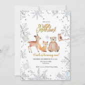 男の子の冬のウッドランド女の子1st誕生日の水色 招待状 (正面)