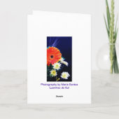 男の子の双子：2倍賛美 カード (裏面)