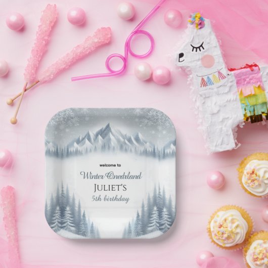 男の子の青い女の子の雪の冬のオネダーランド13th誕生日 ペーパープレート (パーティー)