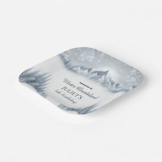 男の子の青い女の子の雪の冬のオネダーランド13th誕生日 ペーパープレート (傾斜あり)