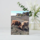 男の子は男の子… ポストカード (スタンド正面)