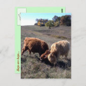 男の子は男の子… ポストカード (正面/裏面)