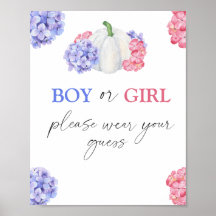 男の子または女の子お願い衣服あなたの推測ポスター