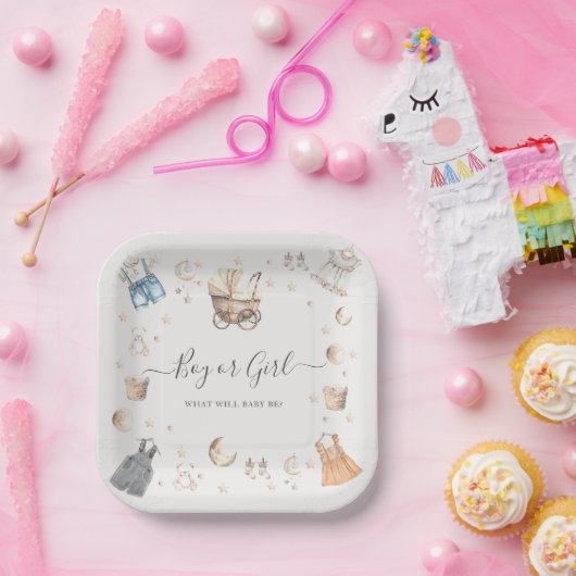 男の子または女の子ボホ子供部屋ベビークリブジェンダーリビール ペーパープレート (パーティー)