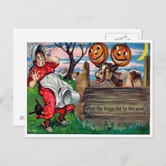 男の子達が牛のはがきに何をしたか ポストカード (正面/裏面)