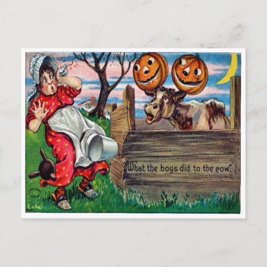 男の子達が牛のはがきに何をしたか ポストカード (正面)