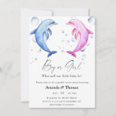 男の子？女の子？ - イルカ - 海事性別発表 招待状 (正面)