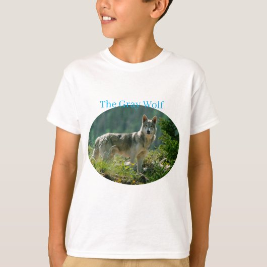 男の子Tシャツ Tシャツ (正面)