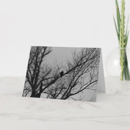 男の時計 カード